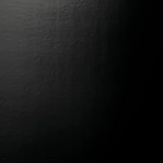 Lot de 5 Films Adhésifs pour Pièges à Insectes