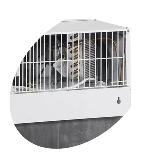 Mini Frigorifero a Baldacchino con Anta in Vetro 55L - Armadio di Conservazione con Porta Trasparente