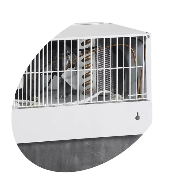 Mini Frigorifero a Baldacchino con Anta in Vetro 55L - Armadio di Conservazione con Porta Trasparente