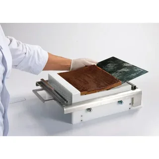 Supporto per chitarra in miniatura con braccio 22 mm - Dimensioni 445 x 335 mm