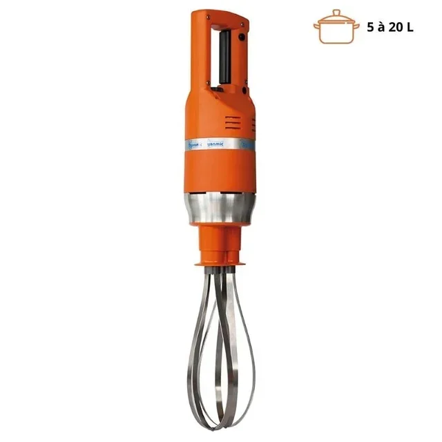 Master Mix Electric Whisk
