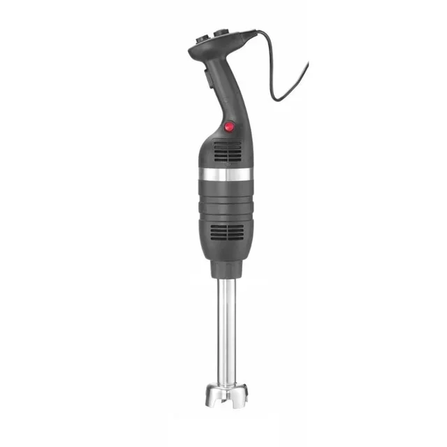 Mixeur Plongeur Professionnel Pied Mélangeur Inox 300 mm