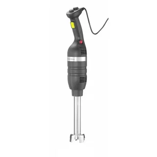 Mixeur Plongeur Professionnel Pied Mélangeur Inox 300 mm