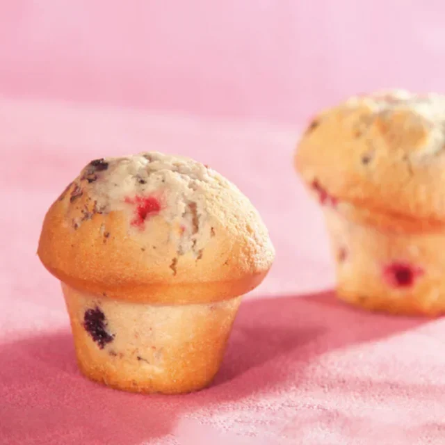 Molde 15 Muffins Forma Champiñón - Diámetro 70 mm - Antiadherente