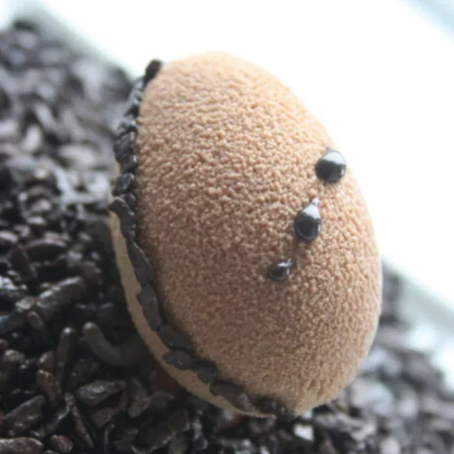 Half-Sphere Mold 56 Cavities Ø 35 mm - Professional Format 55x35 cm