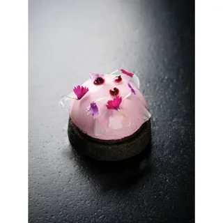 Forma de Silicone Meia-Esfera 6 Cavidades - Diâmetro 70 mm