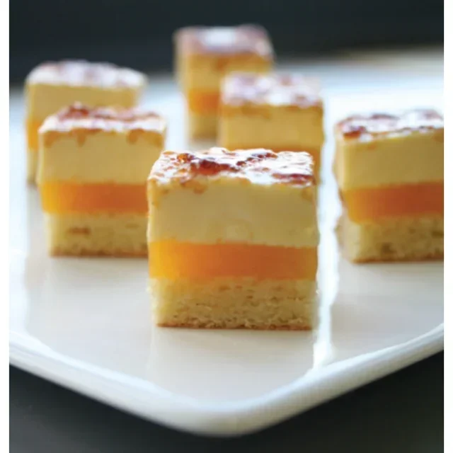 Rechteckige Dessertform - 555 x 360 x 10 mm