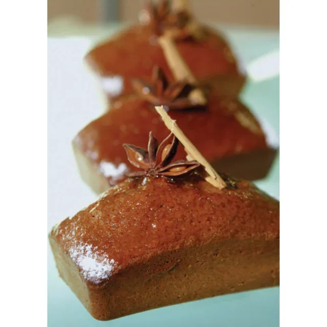 Molde para Lingotes 18 Cavidades 102x58 mm