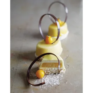 Moule Professionnel 50 Ovales/Aspics - Format 51x31mm - Pâtisserie & Boulangerie