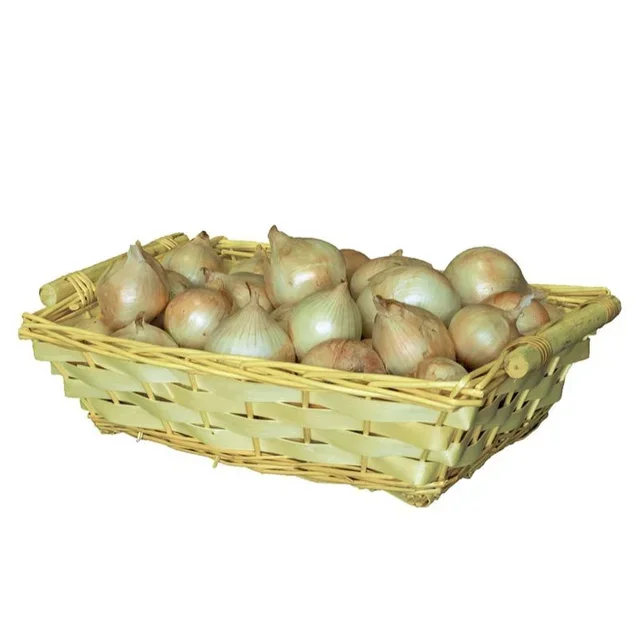 Cesto Portaoggetti Rettangolare Intrecciato in Vimini 50 x 35 cm