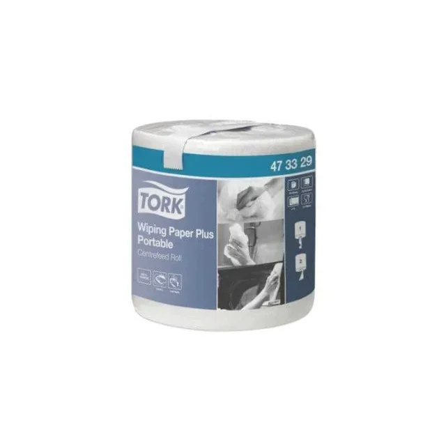 Absorbent Plus Paper Towels - Pack of 6 Rolls