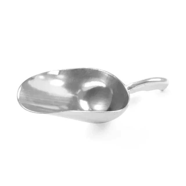 Stainless Steel Ice Scoop