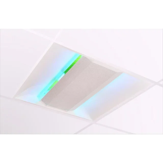 Adhesive Insect Trap 120 m² Shatterproof