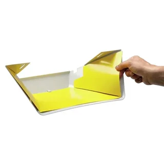 Wall-Mounted Insect Trap