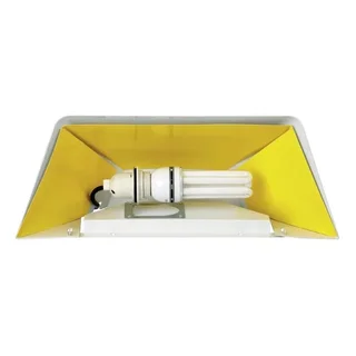 Wall-Mounted Insect Trap