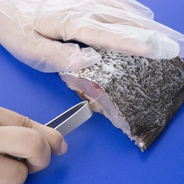 Pinça para Espinhos de Peixe em Aço Inoxidável