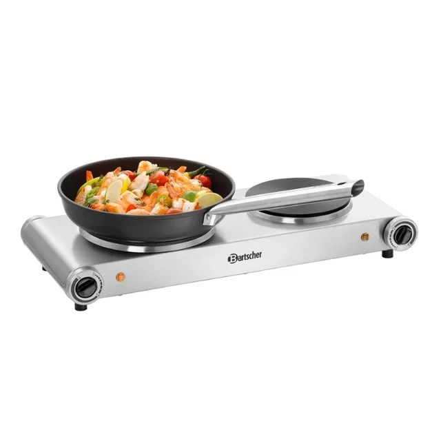 Electric 2 Burner Cooking Plate