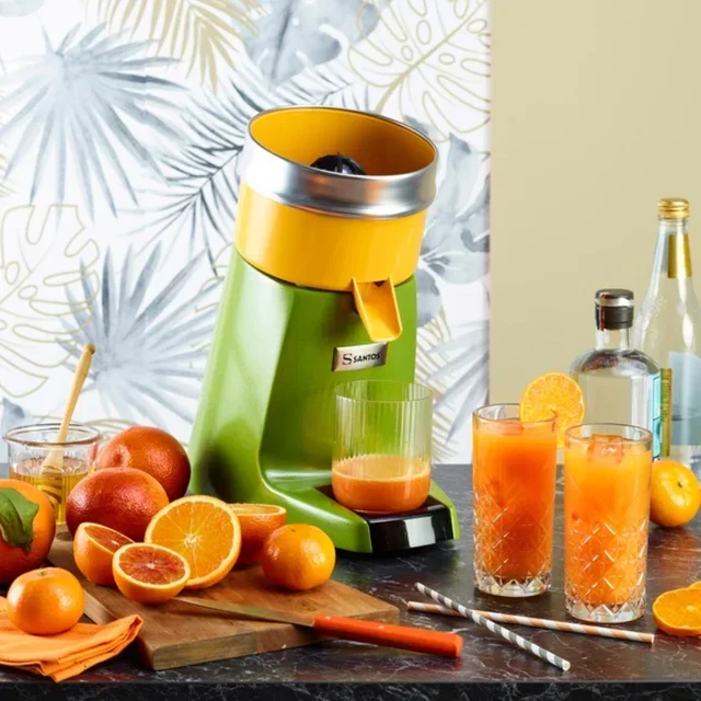 Zitronenpresse Pro Nr.38 - Professionelles Grün