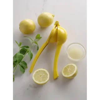 Presse-Citron Manuel en Acier Inoxydable pour Extraction de Jus Frais
