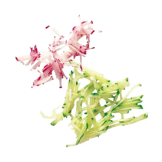 R 402 V.V Coupe Légumes Combiné avec 6 Disques de Découpe