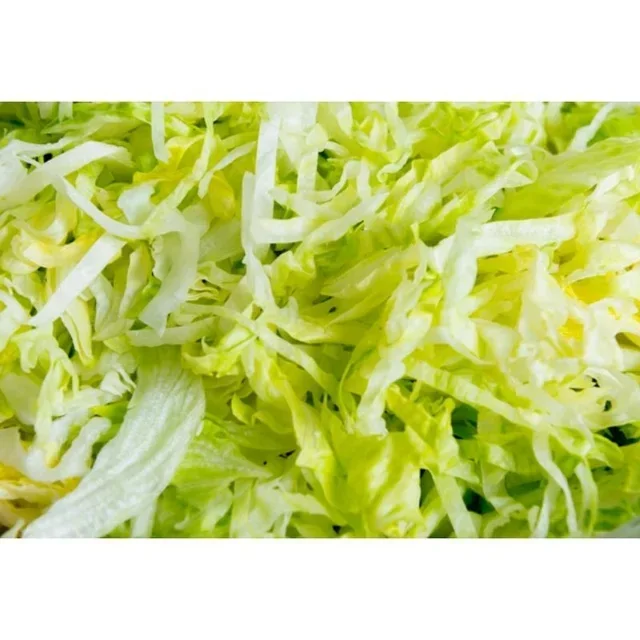 Disco Ralador 9mm Robot Cortador de Legumes Elétrico Acessório