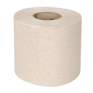 Recycled Toilet Paper Roll 2-Ply 320 Sheets - Pack of 36 Units