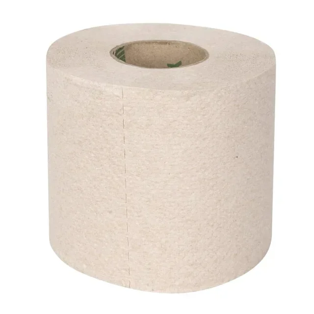 Recycled Toilet Paper Roll 2-Ply 320 Sheets - Pack of 36 Units