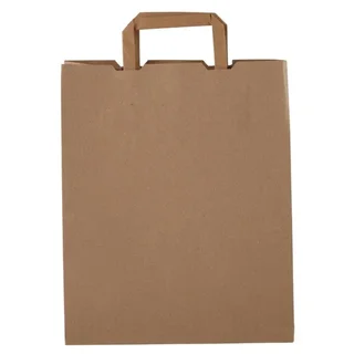 Sacs Compostables en Papier Recyclé Format Grand - 25 cm - Conditionnement 250 unités