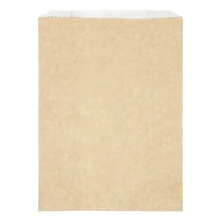 Compostable Hot Snack Bags 292 x 127 mm - Pack of 500