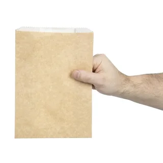 Compostable Hot Snack Bags 292 x 127 mm - Pack of 500