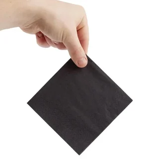 Cocktail Napkins 2-Ply Quarter Fold 24 cm Black - 4000 Units