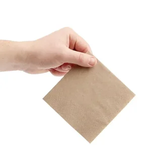 Kraft Paper Napkins 2-Ply Cocktail Size 24 cm - 4000 Units