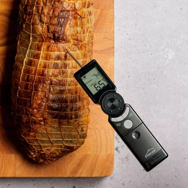 Digital Thermometer with Foldable Probe