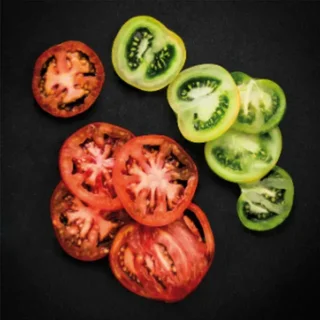 Manual Tomato Slicer 5 mm - Stainless Steel Circular Blade