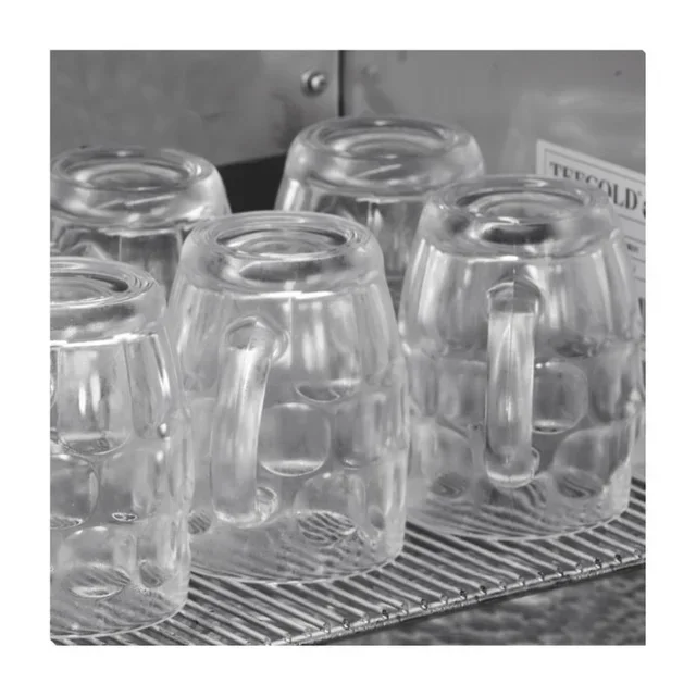 Stainless Steel Glass Froster - 1 Door Glass Display - 79 Liters Capacity