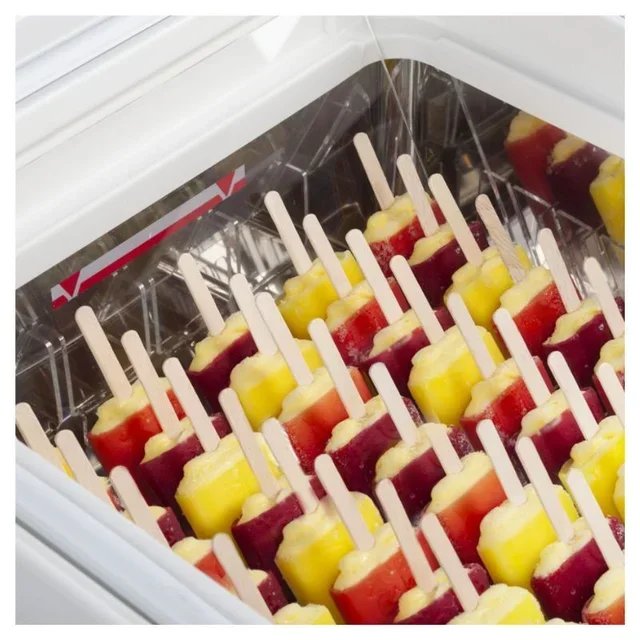 Refrigerated Countertop Display Case for Ice Cream - Double 5 Liter Tank