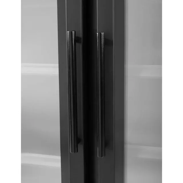 2-Door Refrigerated Display Case - 744 L - Negative Temperature - Black Finish