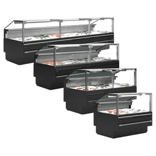 Vetrina Refrigerata Professionale per Pescherie - 480 W