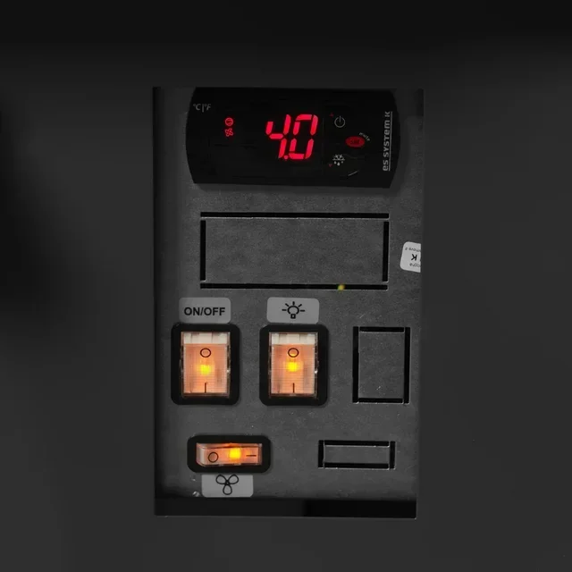 Vetrina Refrigerata Professionale per Pescherie - 480 W